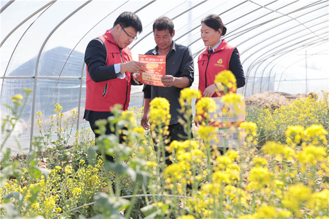 兰陵农商银行：金融活水助农忙 不负春耕好时光